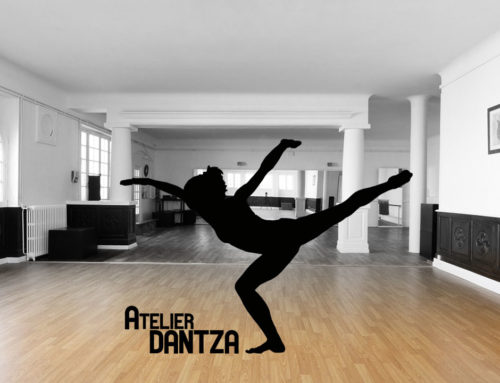 10 ans de Dantza, du talent à tous les étages